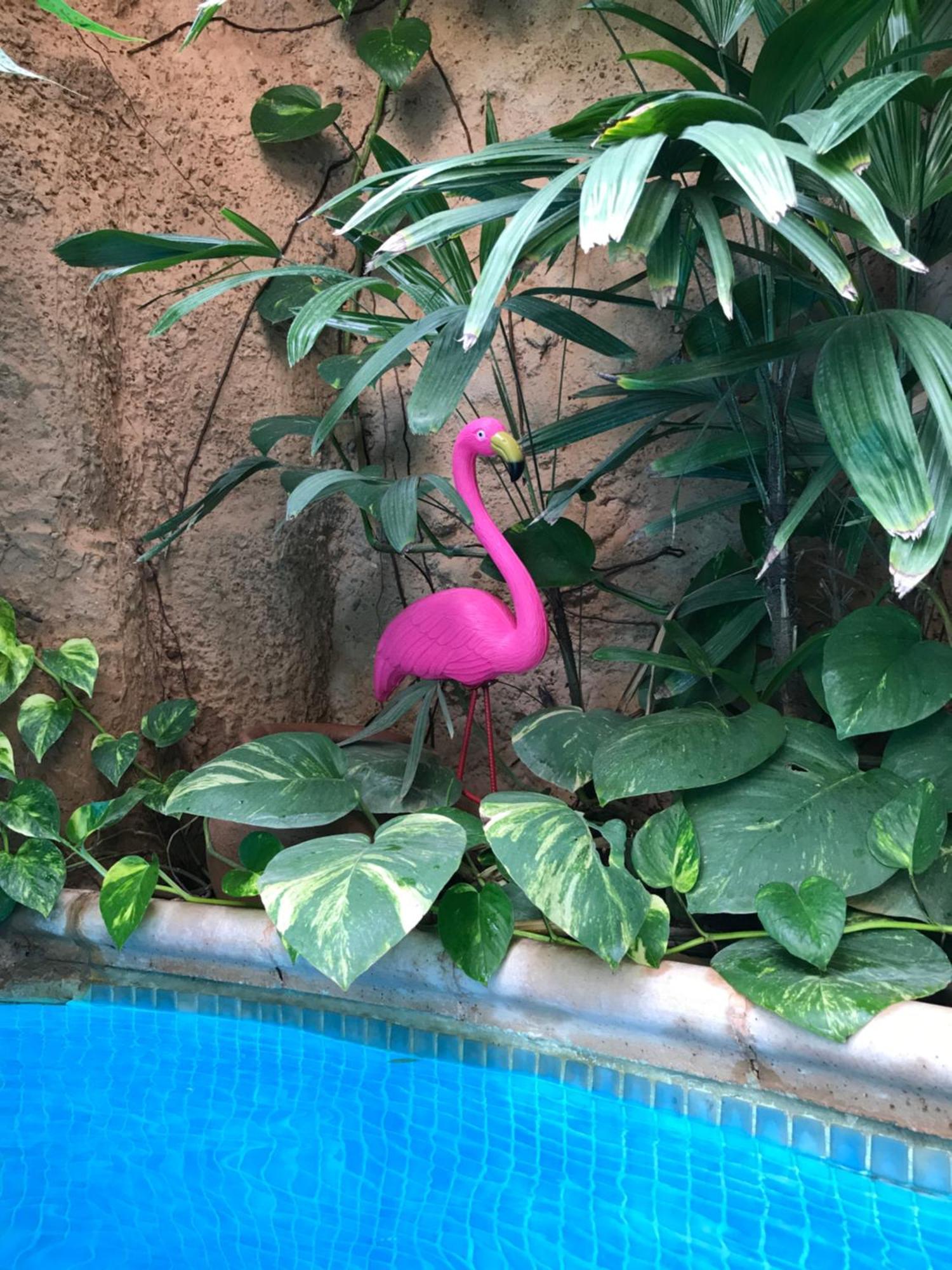 דירות Ouakam Tropical Oasis מראה חיצוני תמונה