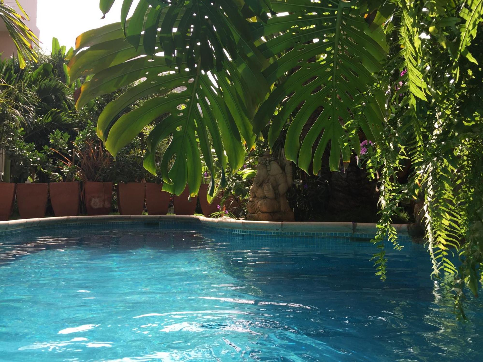 דירות Ouakam Tropical Oasis מראה חיצוני תמונה