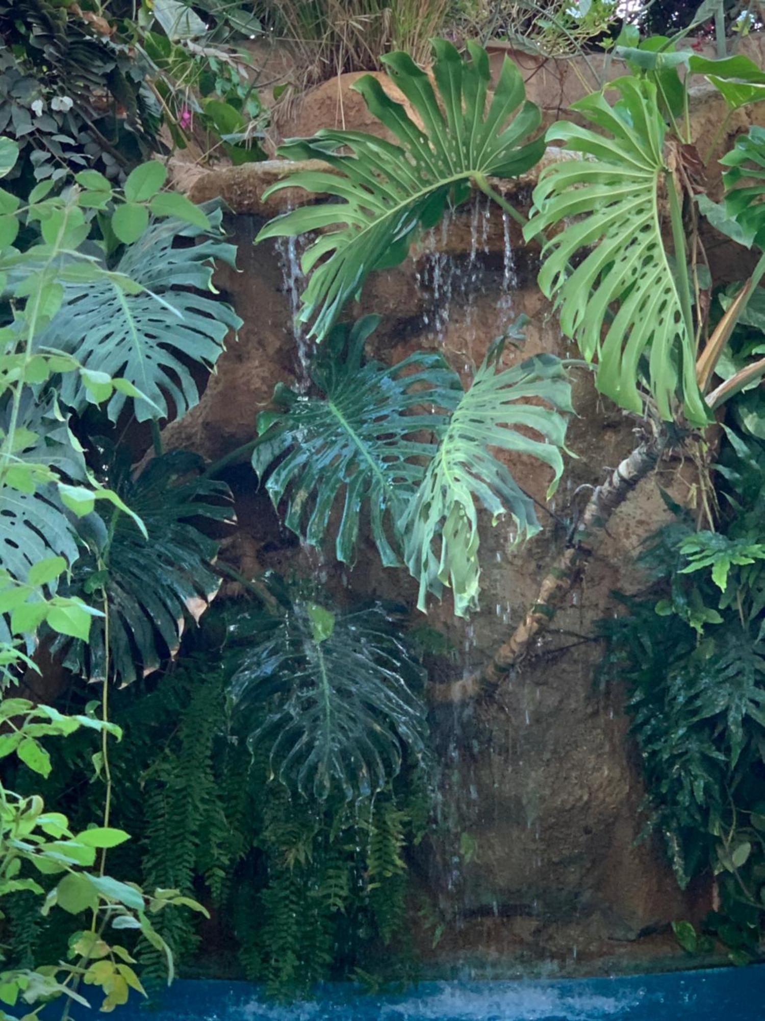 דירות Ouakam Tropical Oasis מראה חיצוני תמונה