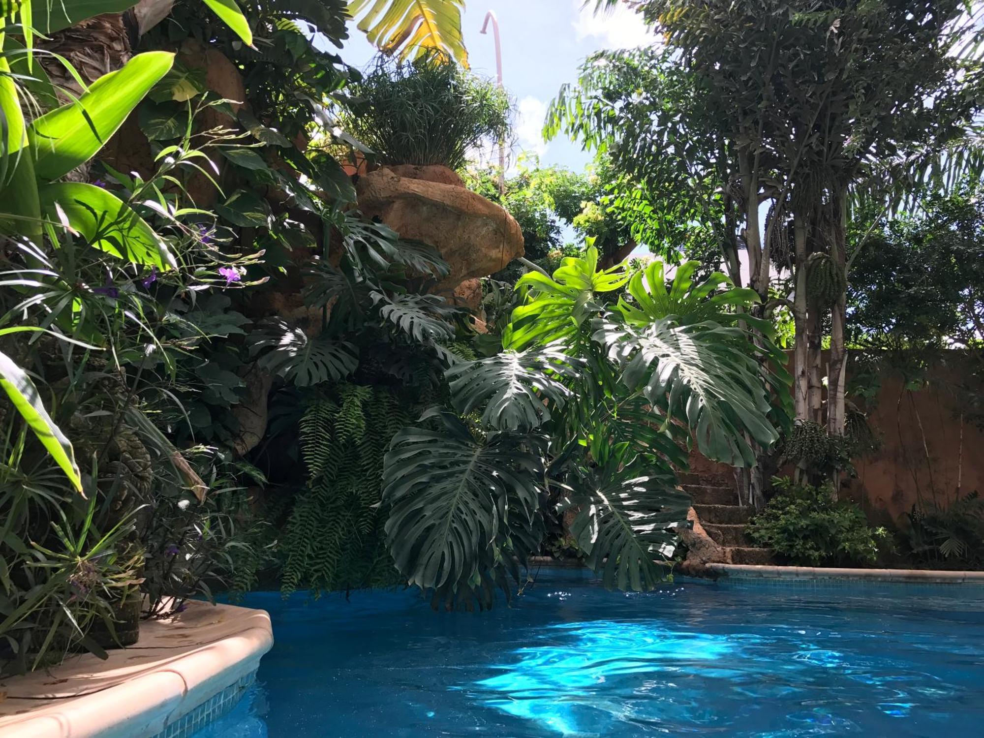 דירות Ouakam Tropical Oasis מראה חיצוני תמונה