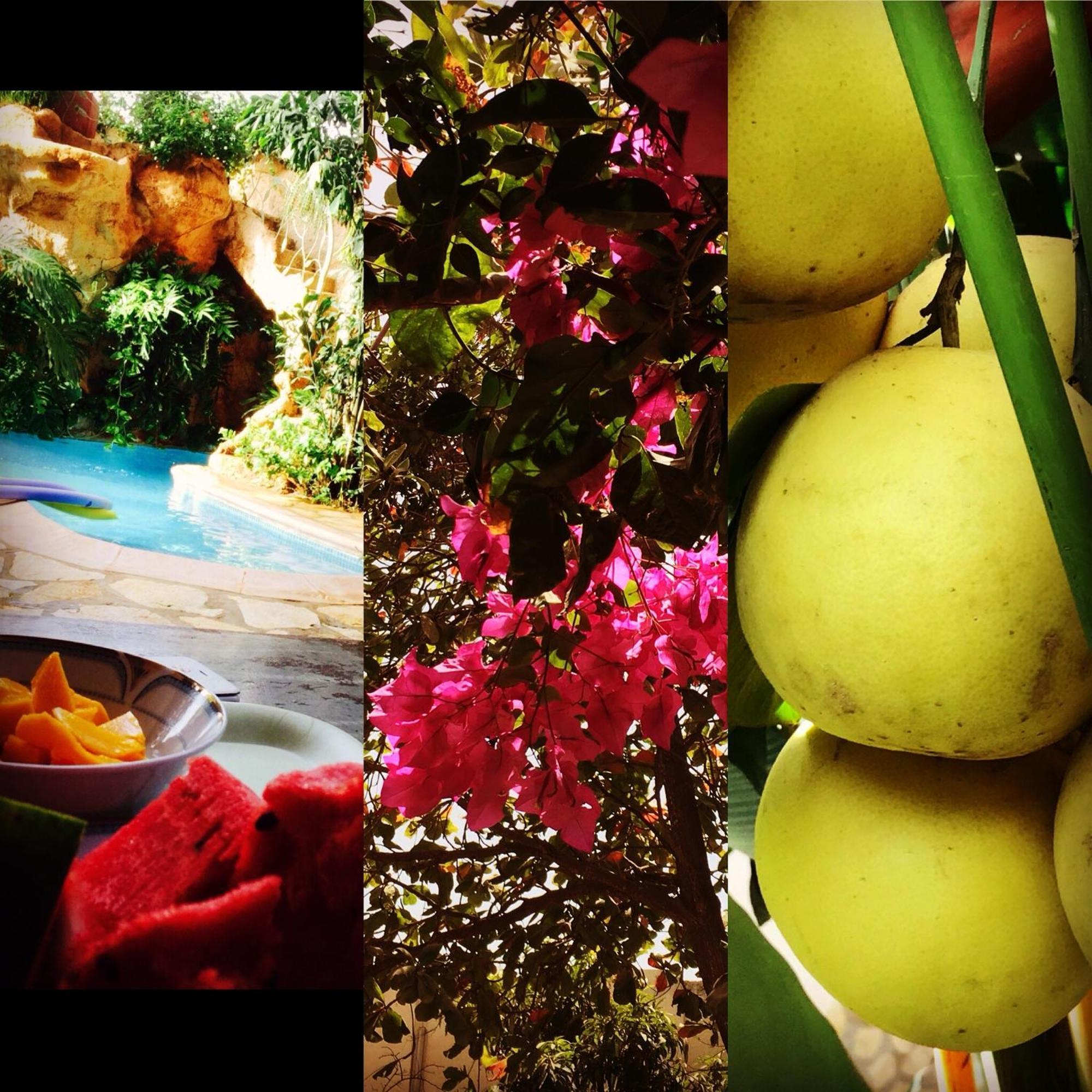 דירות Ouakam Tropical Oasis מראה חיצוני תמונה