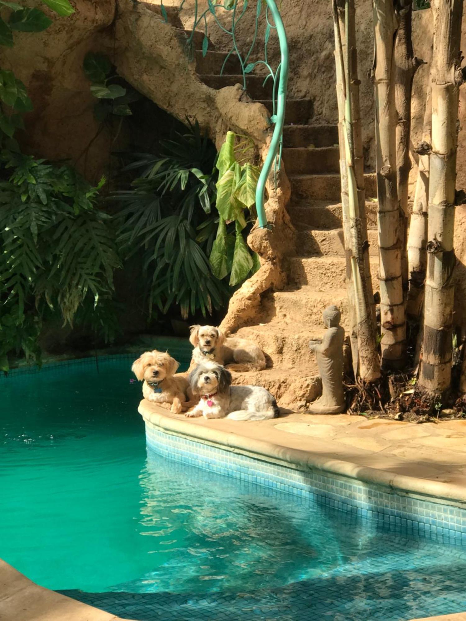 דירות Ouakam Tropical Oasis מראה חיצוני תמונה